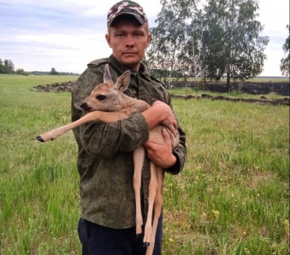В Увельском районе из лесного пожара спасли детёныша косули