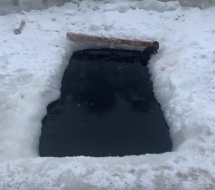 У Тургояка сняли на видео зверька, который рыбачил в купели