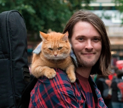В челябинской клинике обнаружили двойника знаменитого уличного кота Боба