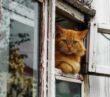 В Челябинске на этой неделе потеплеет до +14