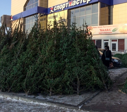 В Челябинске определись с местами для елочных базаров
