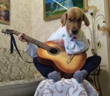Валя Майорова: 