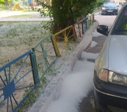 Дождь надолго не поможет: в Челябинске начался сезон тополиного пуха