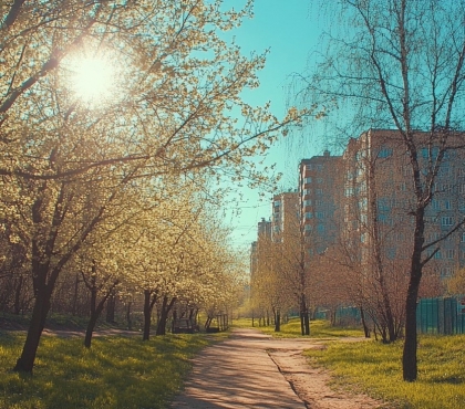 Весна впереди графика: Южный Урал ждет аномальное потепление до +23°C