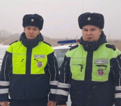 Полицейские в Коркино спасли семилетнего мальчика, провалившегося под лёд