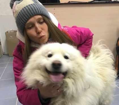 Кто читает «Вирджинию Woof»: девушка из Челябинска завела антикризисный telegram-канал для собачников