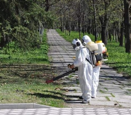 Челябинск снова обработают от клещей: рассказываем, где временно не стоит гулять горожанам