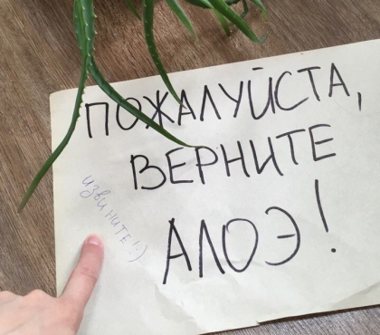 Вера Гагарина: 