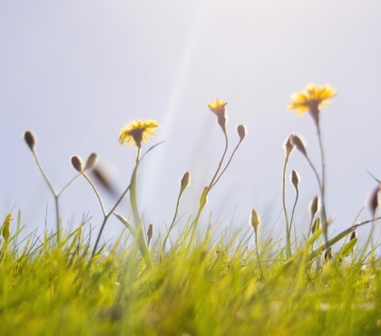 Челябинцев ждет потепление до 20 градусов