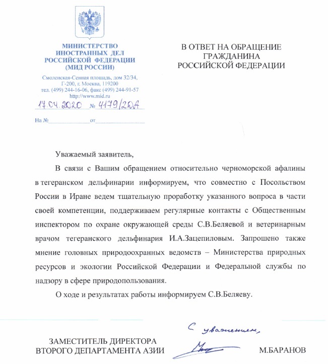 Чтобы спасти дельфина, волонтеры и неравнодушные отправили сотню писем в министерство иностранных дел 