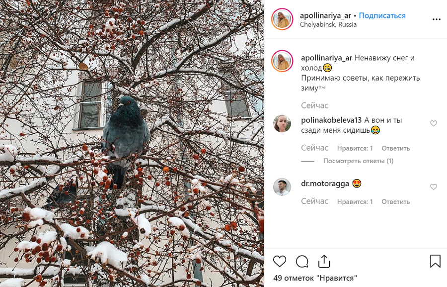 Птицы, кажется, в шоке
