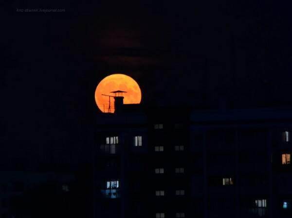 Фото: Фома Уржумцев