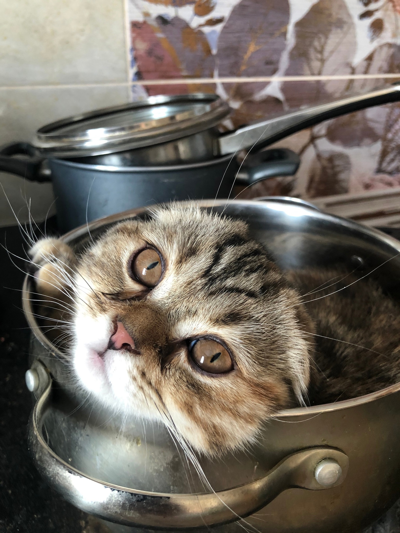 Красотка Шока 