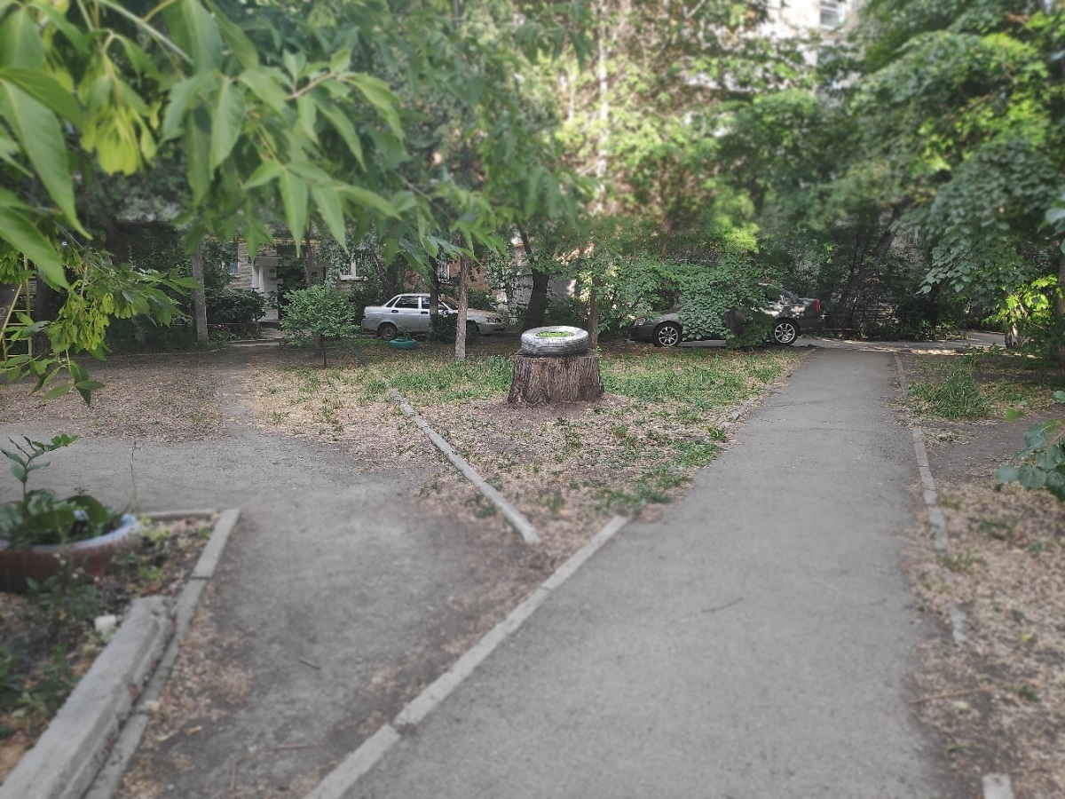 А вот, кстати, та самая покрышка на пне во дворах на улице Энгельса 