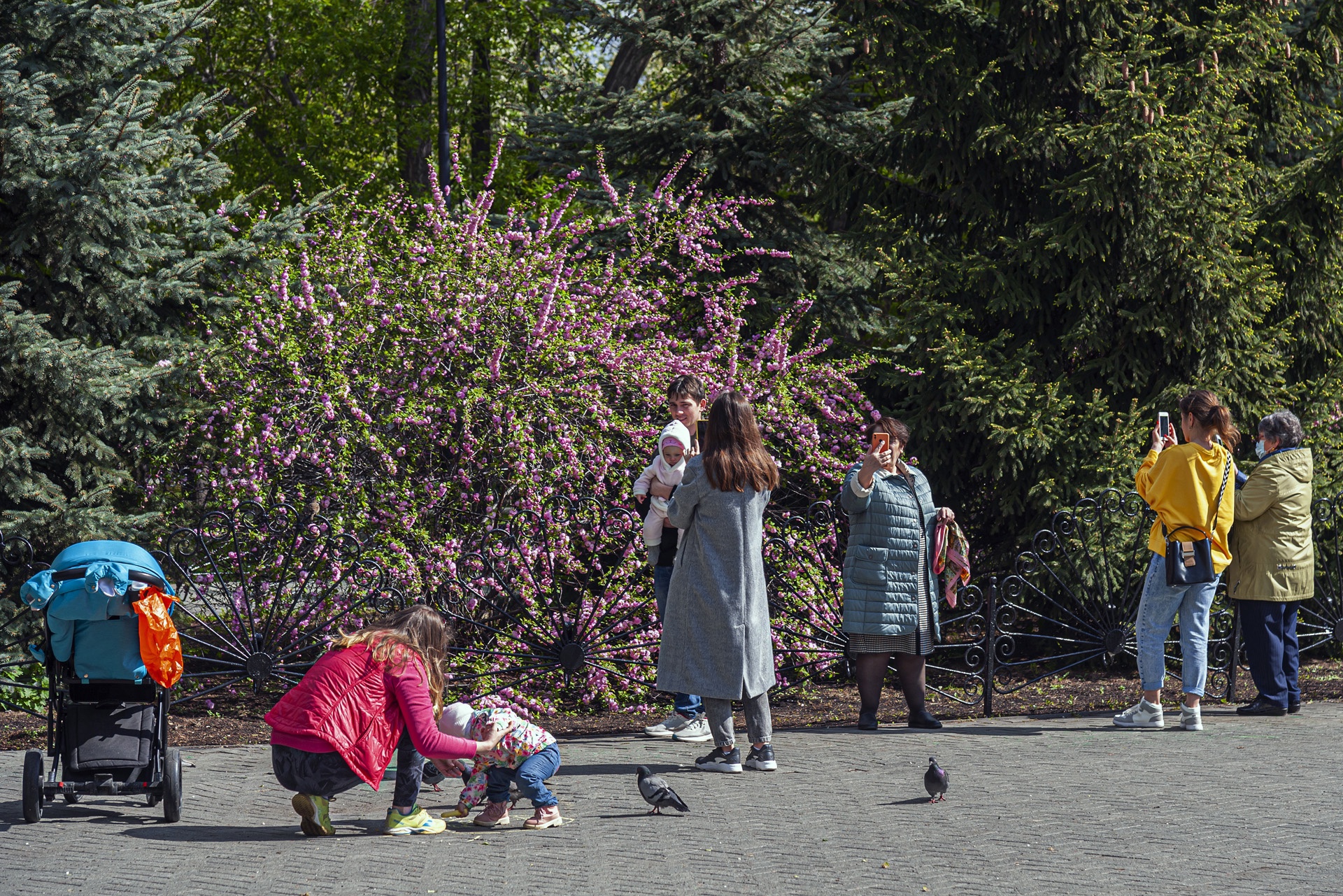 Фото: Анатолий Шулепов
