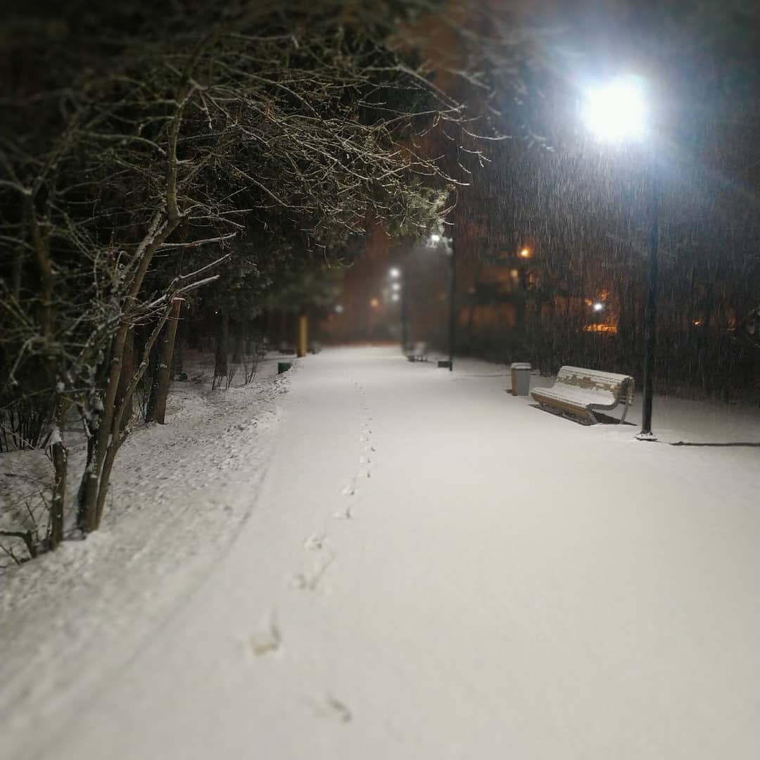 Вадим Гедельшин 