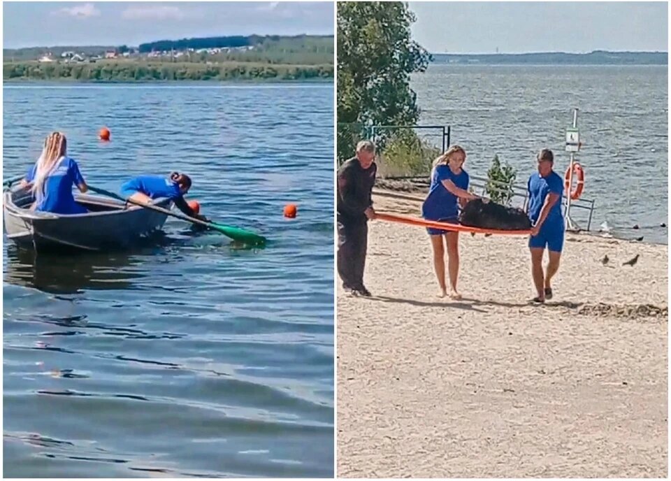 Фото: ПССВ Челябинской области