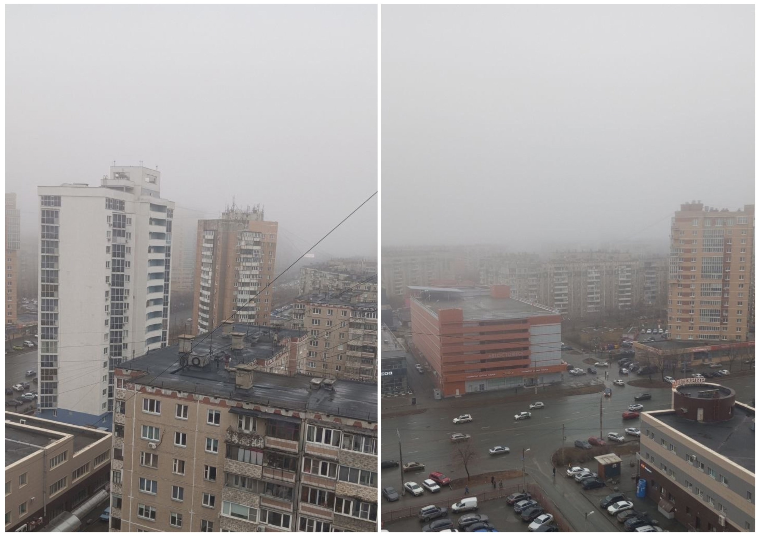 Фото: Наталья Полуэктова 