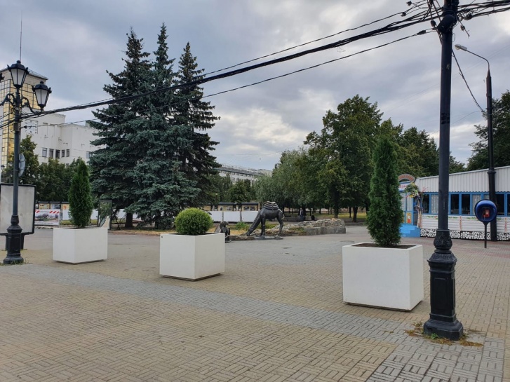 Источник фото: 74.ru