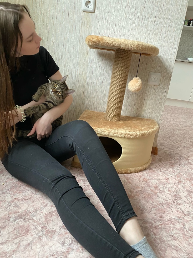 Это Шкет на руках у новой хозяйки
