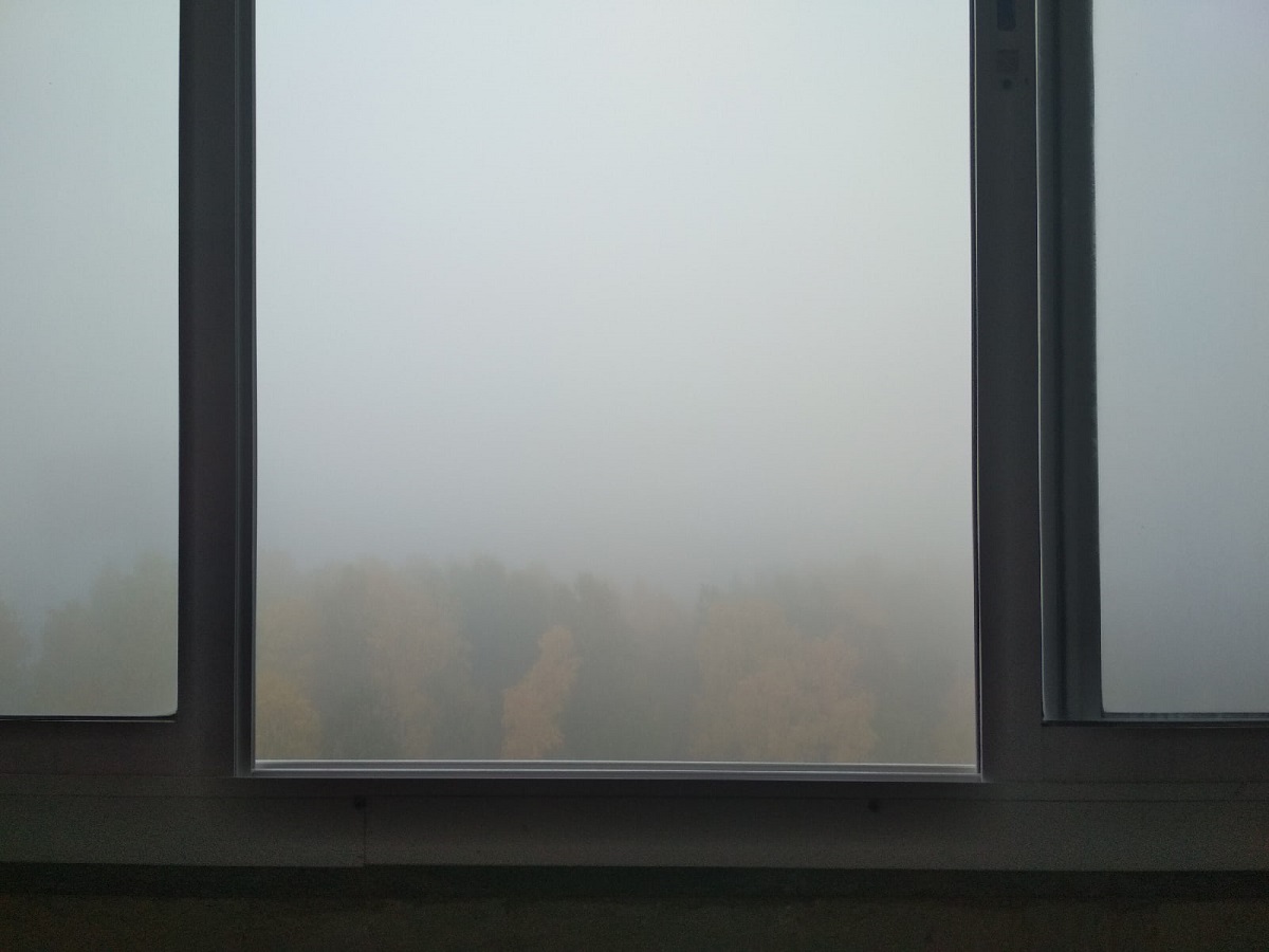Но в Парковом он скрыл из вида все.