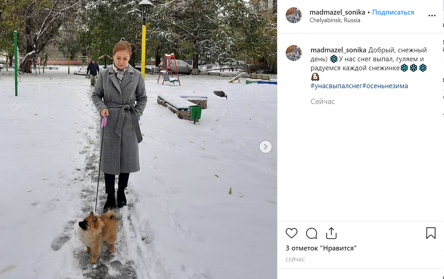Хозяинам собак холодно гулять, а вот песики довольны